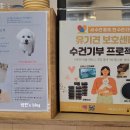 카페인스