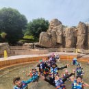 서초용인대태권도 이미지