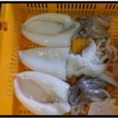 상기냉동(주)