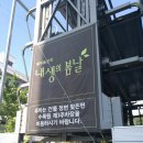 내생의봄날 대구수목원 이미지