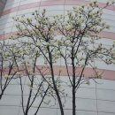 BY연주