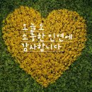 자올하우스 이미지