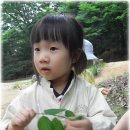 도당공원 이미지