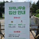 자작나무도서관 | 원대리 자작나무숲 후기｜입산시간, 주차, 코스, 준비물 총정리! 아이와 걷기 좋은 인제 자작나무숲
