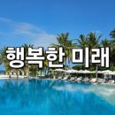 양자컴퓨터 대장주 장기투자 시작! 아이온큐 매수 후기. [투자기록]