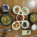 소나무백그릇추어탕 | 철마 추어탕 여름 보양식 소나무 백그릇 추어탕