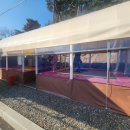 캠프원 관광농원 | 울산 신불산베이스캠프 관광농원 후기｜사계절수영장·개별시설 캠핑장