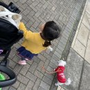 (주)쏘미 이미지