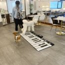 유동유치원 | 애견유치원 창업 운영비 한 달 수익 자격증 취득 후기