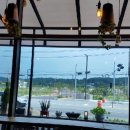 코나코코커피 이미지