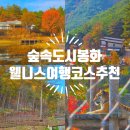 문수산자연휴양림 | 봉화 국립백두대간수목원 문수산 자연휴양림 경북 웰니스 여행 코스