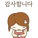 감일성모내과의원 네이버블로그