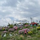 폭탄불오뎅김밥 이미지