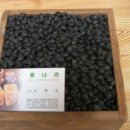 자연과 콩 이미지