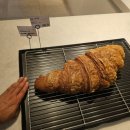 가드니아남양주 | [남양주 카페] 남양주 오남리 브런치카페 대왕크로와상 맛 "가드니아 남양주오남점" 솔직후기