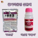 노지하우스 이미지