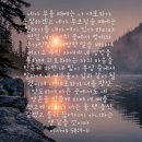 여수동백악기