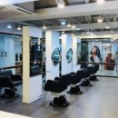 앨리헤어 이미지