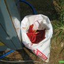 청풍농장 이미지