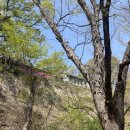 지탄목장3 | 구리 아차산 범굴사