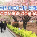 그루 - 안산시 단원구 광덕2로 156 | 그루