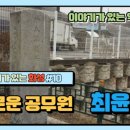 최윤식 기념비문 이미지