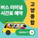 신김밥천국 | 고양종합버스터미널 주요 노선과 주변 맛집까지 한눈에