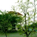 옛온천골 이미지