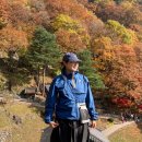청량사 - 839 | [경북 봉화] 청량산 청량사 등산 후기 : 가을 단풍 산행하기 좋은 곳