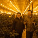 무등농원 이미지