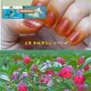보광만물
