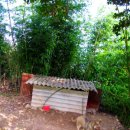 꼬꼬네농장 이미지