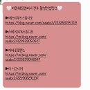 지온목장 | 제주도 스냅 필요 없는 전주웨딩촬영 라망스튜디오 후기