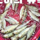 역전씨푸드