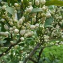 소소한이야기 이미지