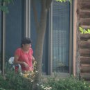 유니크펜션 이미지