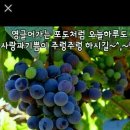 카페거기 - 평택시 | 카페거기