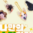 보더콜리 반려견 키링 굿즈 제작 후기 세모쇄