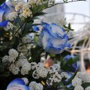 뚝섬한강공원-18 이미지