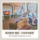 홍천제일식품 | 홍천 애견동반 캠핑 그자리야영장A~G사이트 정리/상세하고 솔직한 후기 ㄱ