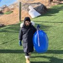 운정로 | 파주 아이와 가볼만한 곳 뮌스터담 눈썰매장 이용 후기 생맥주 슈바인학센 맛집