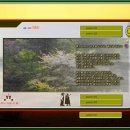 그라디언트 이미지