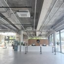 제주도 서귀포신상테마파크 돌코리숲으로 태교여행후기