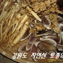대보탕 이미지