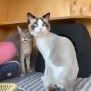 마로동물병원 이미지