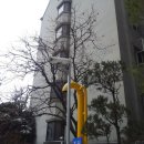 청룡시스템 네이버블로그