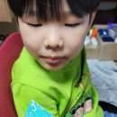 라이브치과병원 | 치과의사가만든 고체 가글 라이브오랄스 일회용가글 고체치약 치카퐁