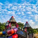 석양풍경 이미지