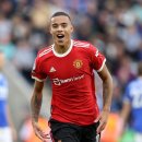 그린우드 이미지