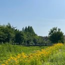 영광점기아오토큐 | [5월 어느 날] 초보 운전 2년 차 마음의 상처만 가득 남은 첫 차 수리